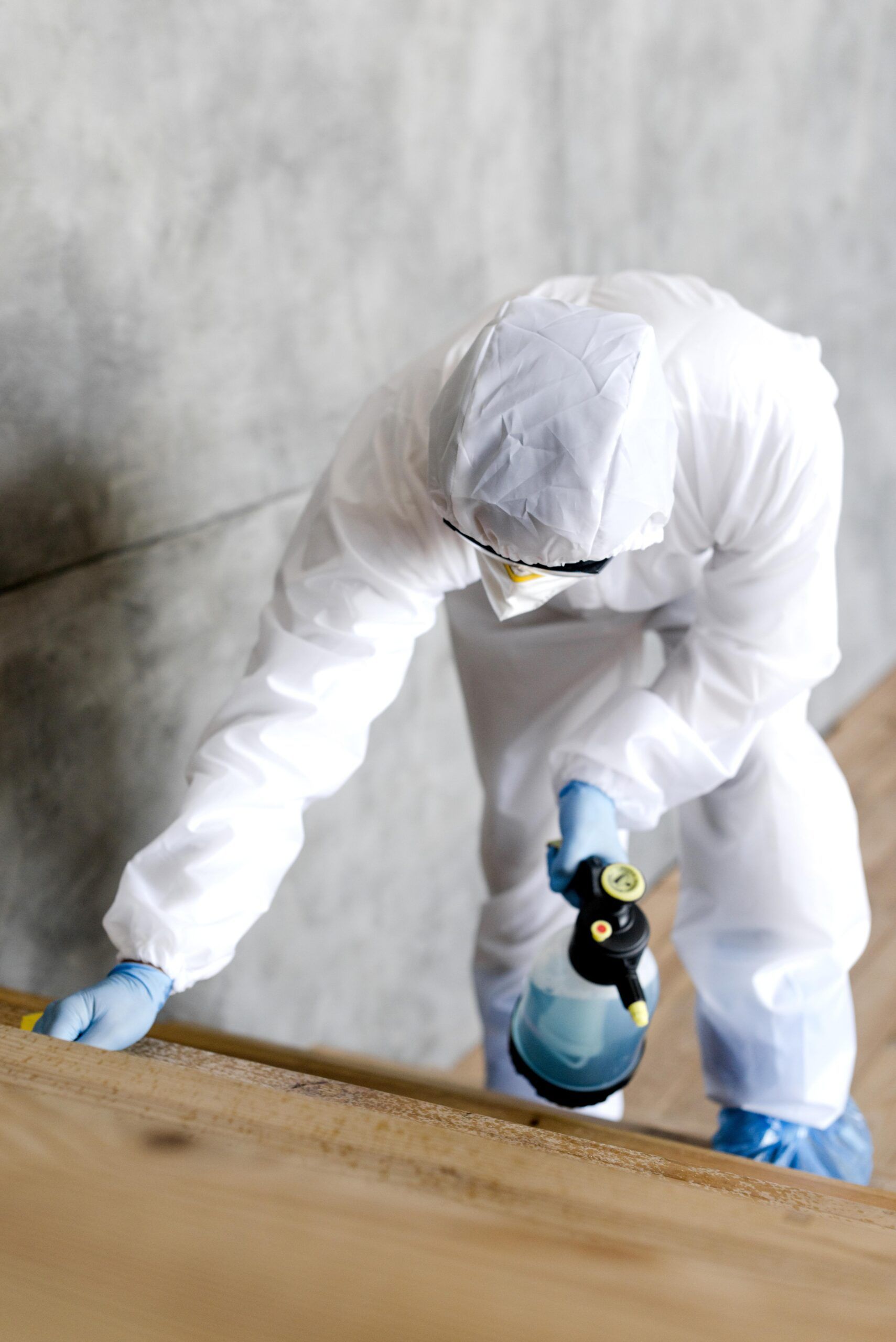 Pest Hot Spots in Your Home: Where to Look and How to Treat
