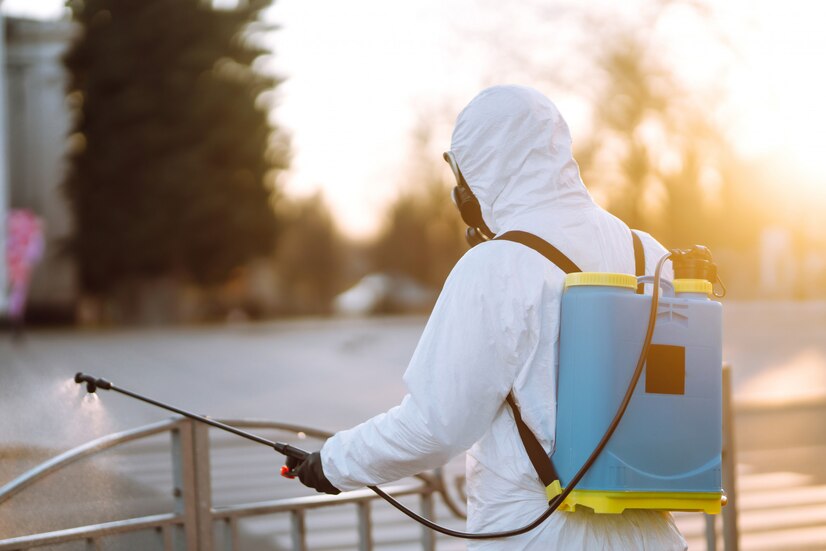 Guard Your Home Year-Round: Seasonal Pest Control Tips
