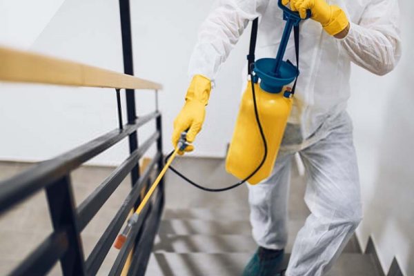 Why is Pest Control Crucial for Homes with Kids?
