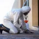 Protecting Your Townsville Home from Termites: Prevention and Treatment