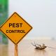 How Pests Can Impact Your Health: Risks and Precautions?